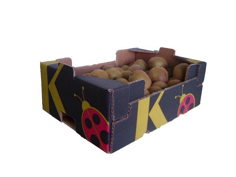Kiwi FDM K - Caja 6Kg